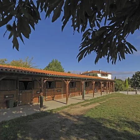 Farm stay Quinta Da Casa Alta Valenca
