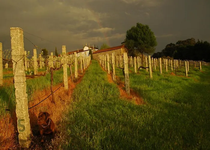 Vakantieboerderij Quinta Da Casa Alta *